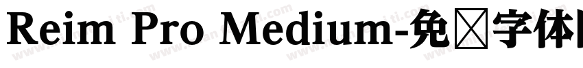 Reim Pro Medium字体转换